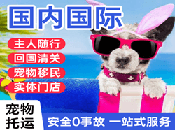 盐城南洋航空物流国际宠物托运 【国